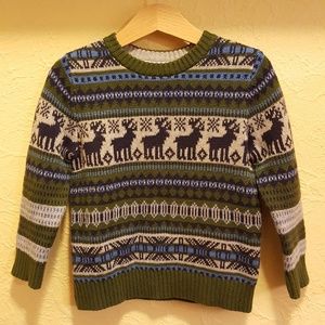 Hanna Andersson sweater